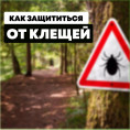 Как защититься от клещей